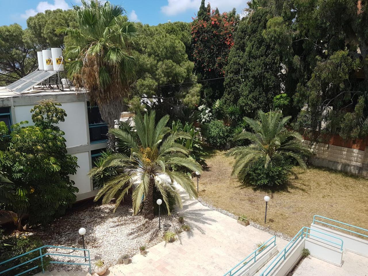 Carmel Mountain Motel Hajfa Zewnętrze zdjęcie